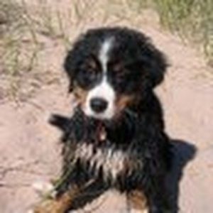 Meet your Posher, Kristi